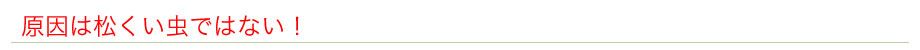 原因は松くい虫ではない!