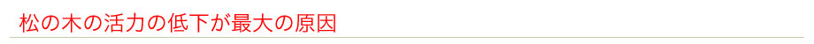 松の木の活力の低下が最大の原因