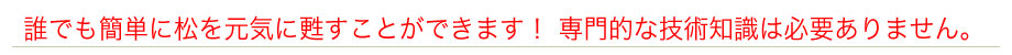 誰でも簡単に松を元気に甦すことができます! 専門的な技術知識は必要ありません。
