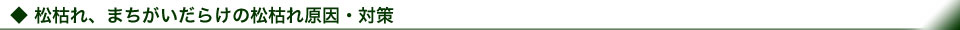 松枯れ、まちがいだらけの松枯れ原因・対策