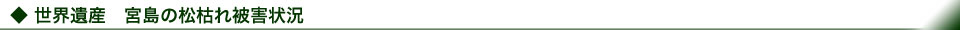 世界遺産 宮島の松枯れ被害状況