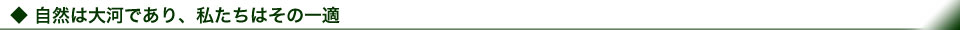 自然は大河であり、私たちはその一適