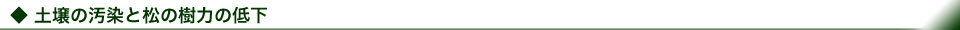 土壌の汚染と松の樹力の低下