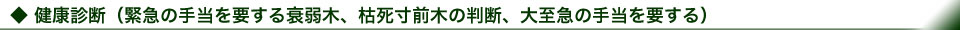健康診断(緊急の手当を要する衰弱木、枯死寸前木の判断、大至急の手当を要する)