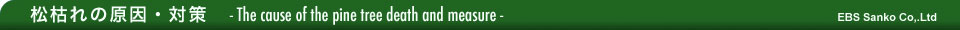 松枯れの原因・対策